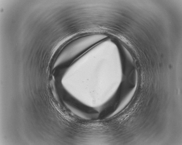 X0000058790838200510211811