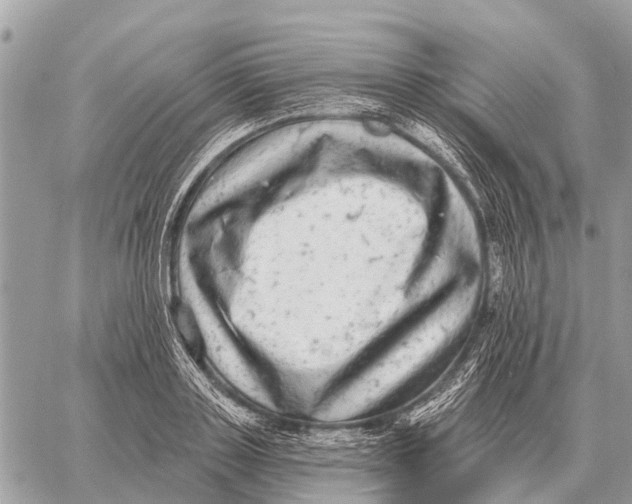 X0000058790843200510211811