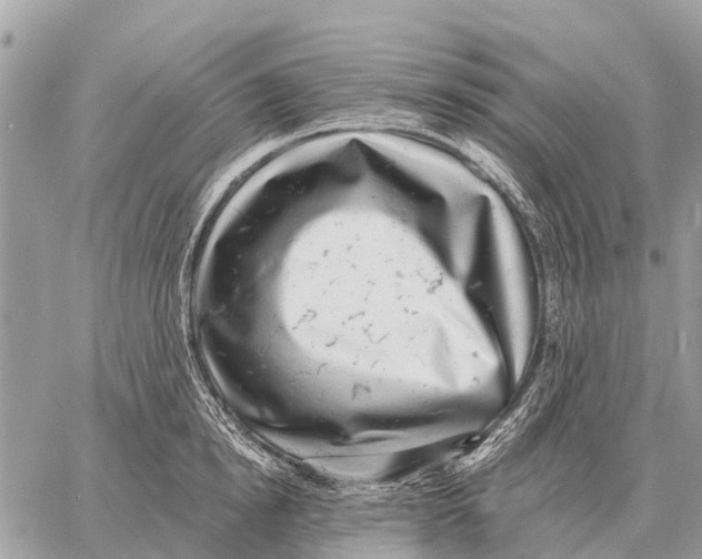 X0000058790854200510211811