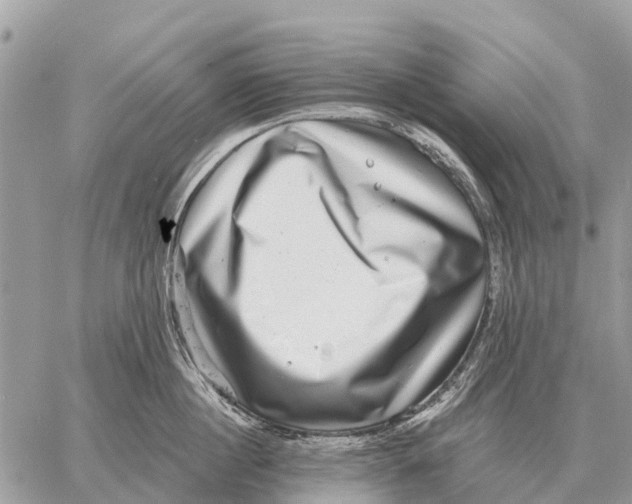 X0000058790860200510211811