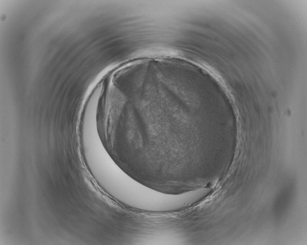 X0000058790864200510211811