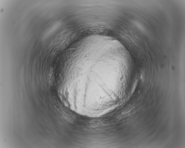 X0000058790867200510211811