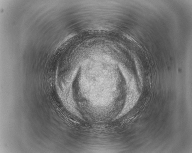 X0000058790870200510211811