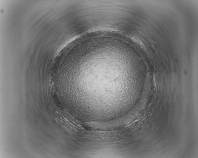 X0000058790872200510211810
