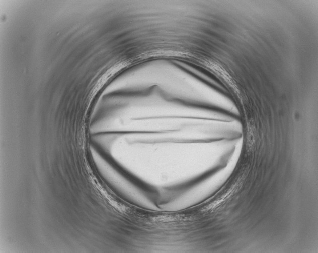 X0000058790898200510211810