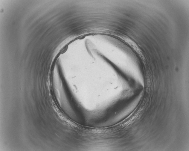 X0000058790904200510211810