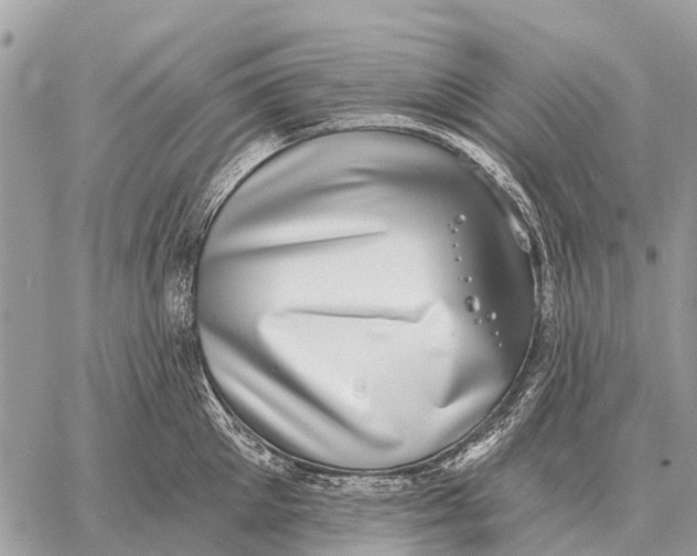 X0000058790905200510211810
