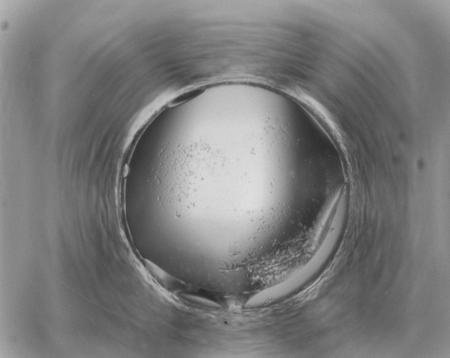 X0000058790910200510211810