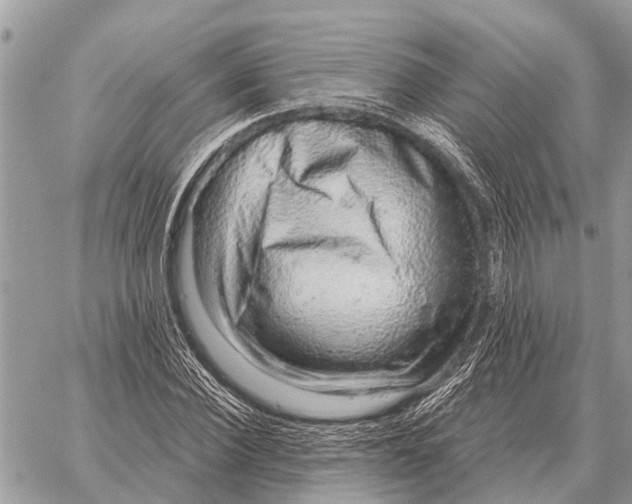 X0000058790924200510211809