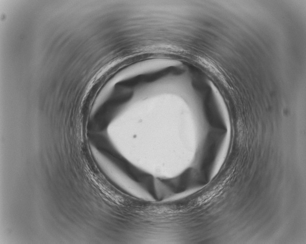 X0000058790931200510211809