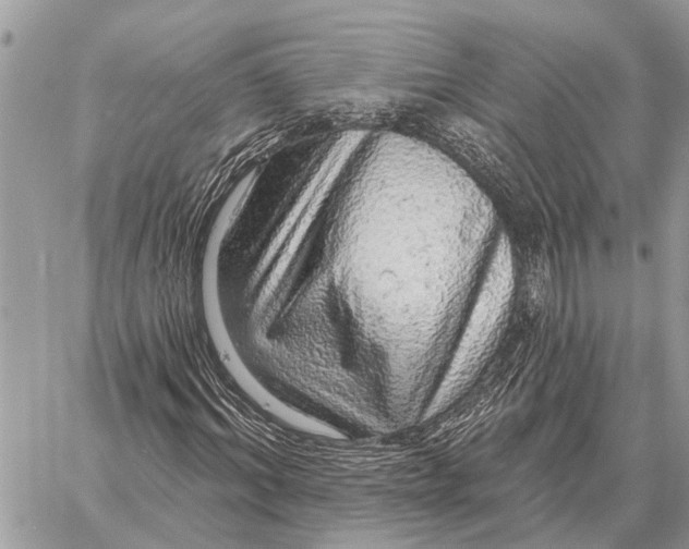 X0000058790964200510211809