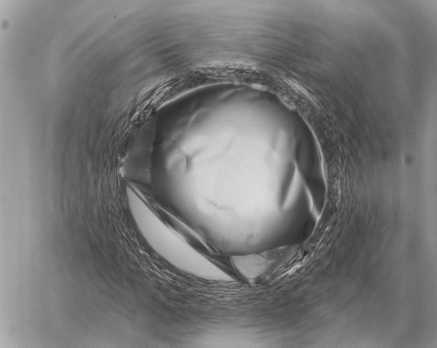 X0000058790965200510211809