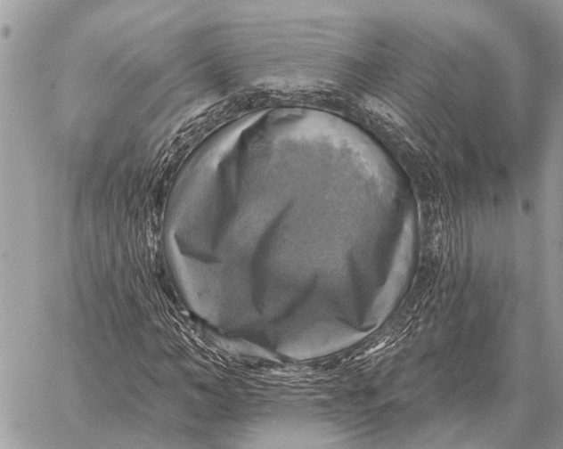 X0000058790966200510211809