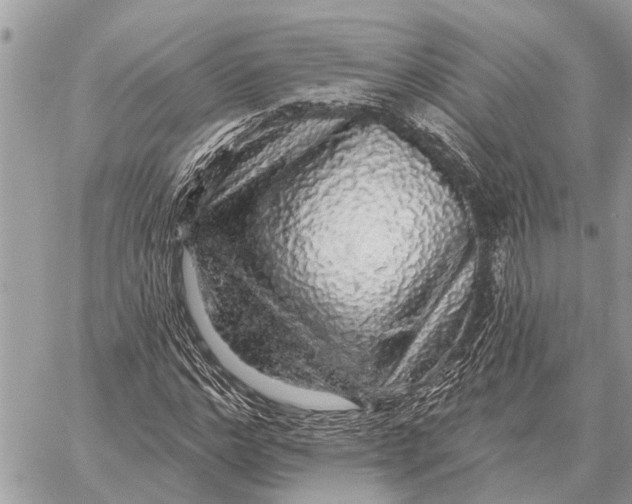 X0000058790968200510211809