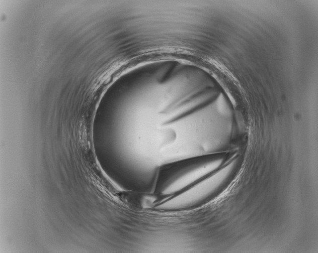 X0000058790969200510211809