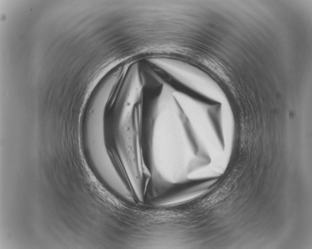 X0000058790984200510211809