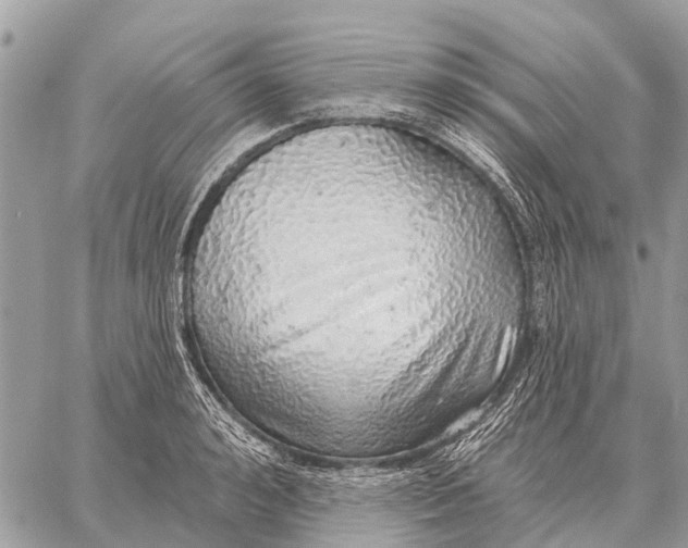 X0000058790992200510211809