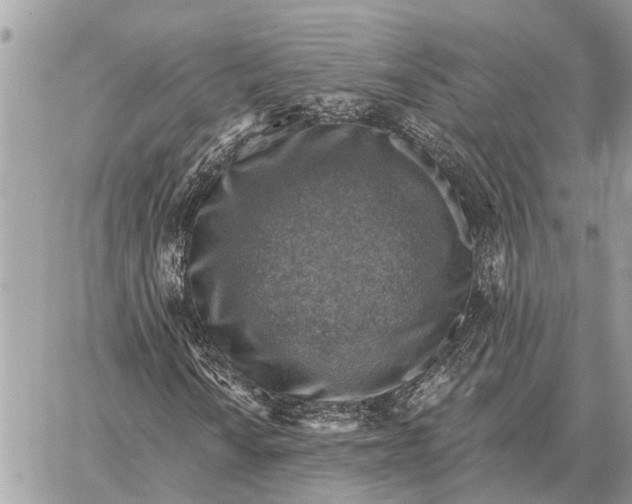 X0000058791010200510211807
