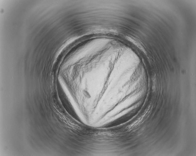 X0000058791021200510211808