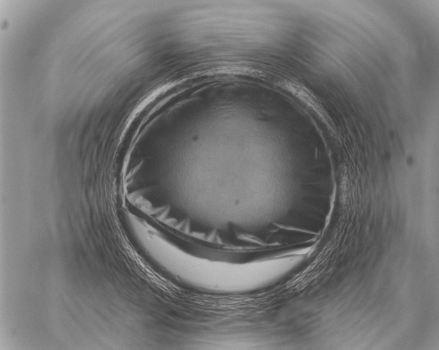 X0000058791024200510211808
