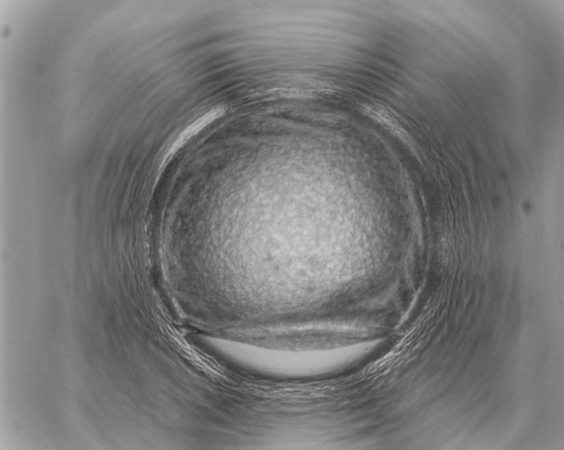 X0000058791026200510211808