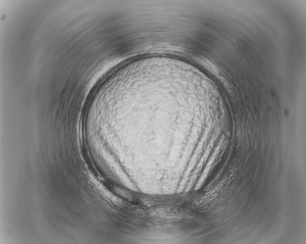 X0000058791032200510211808