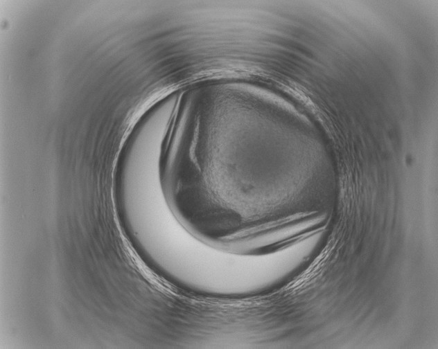 X0000058791034200510211808