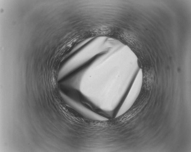 X0000058791058200510211807