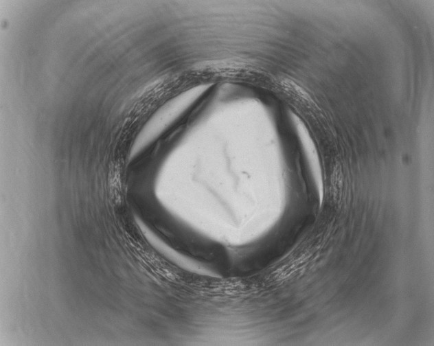 X0000058791062200510211807