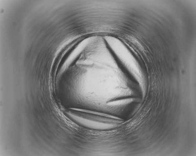 X0000058791072200510211807