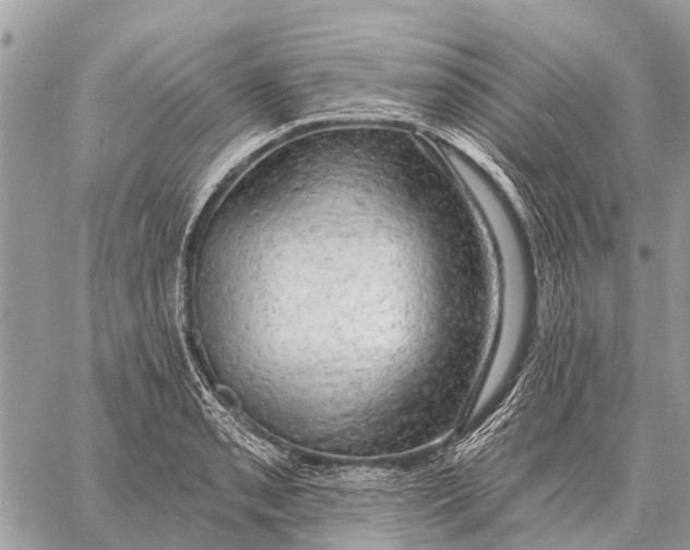 X0000058791085200510211807