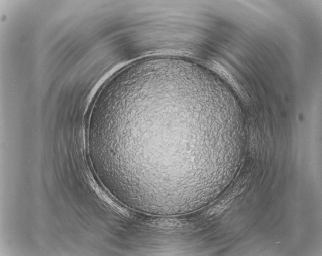 X0000058791092200510211807