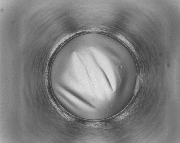 X0000058791093200510211807
