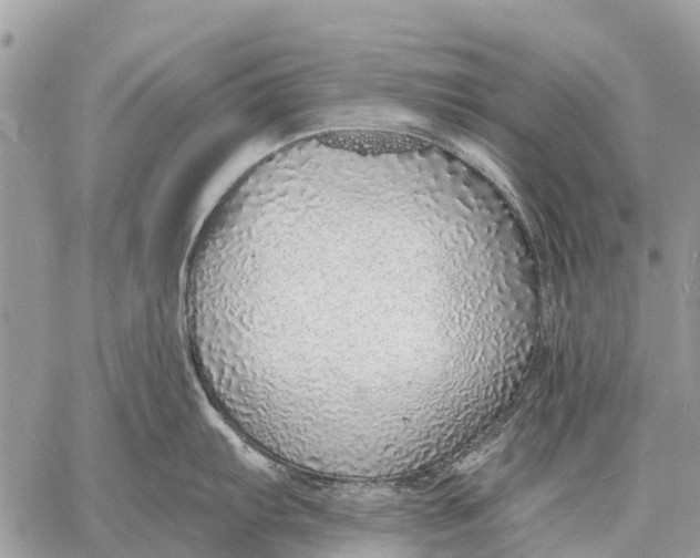 X0000058791103200510211807