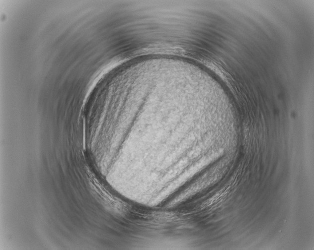 X0000058791123200510211806