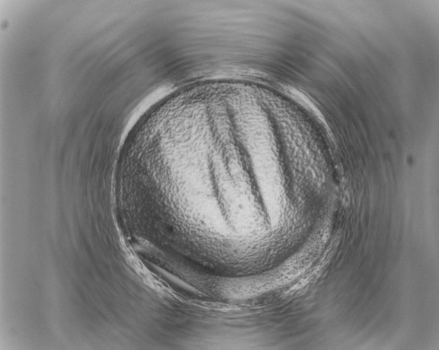 X0000058791138200510211806