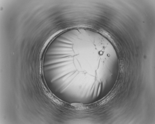 X0000058791140200510211806