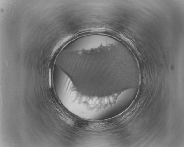 X0000058791171200510211806