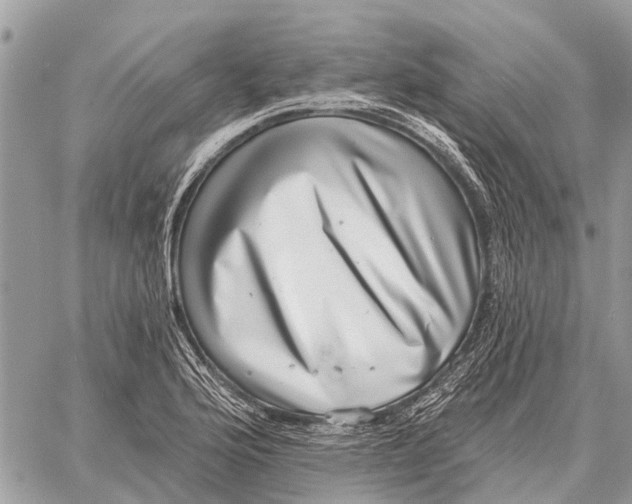 X0000058791176200510211806