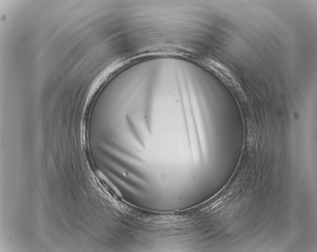 X0000058791188200510211805
