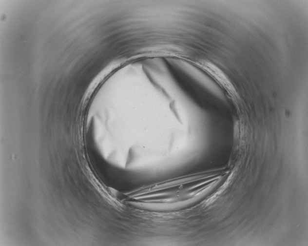 X0000058791196200510211805