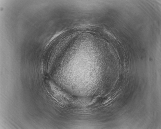 X0000058791206200510211804