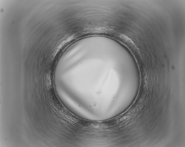 X0000058791218200510211805