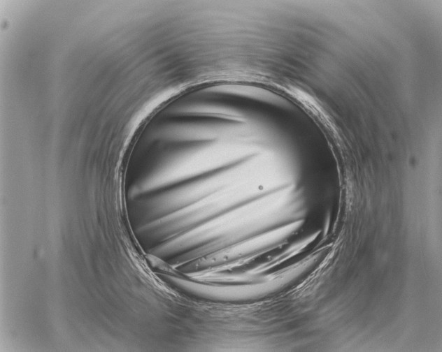 X0000058791238200510211805