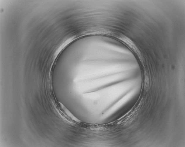 X0000058791242200510211805