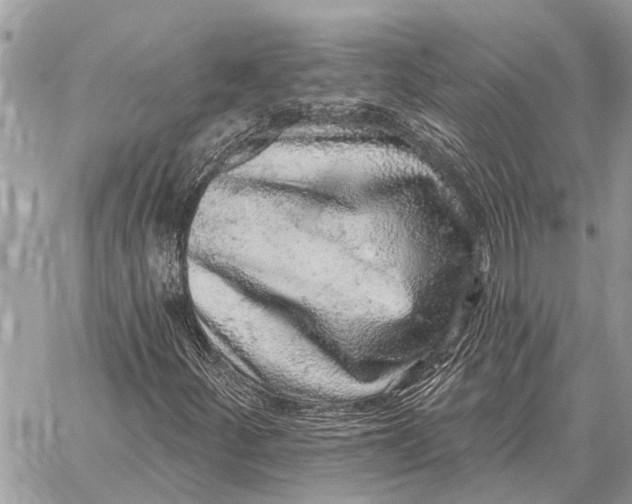 X0000058791252200510211804