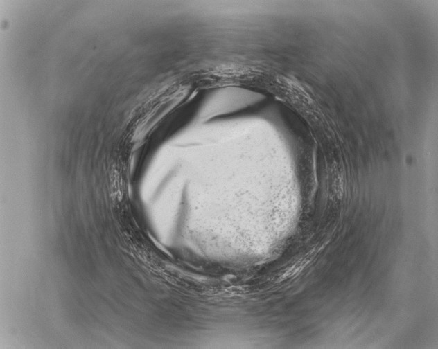 X0000058791253200510211804