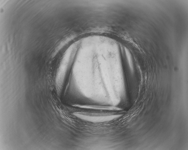 X0000058791256200510211804
