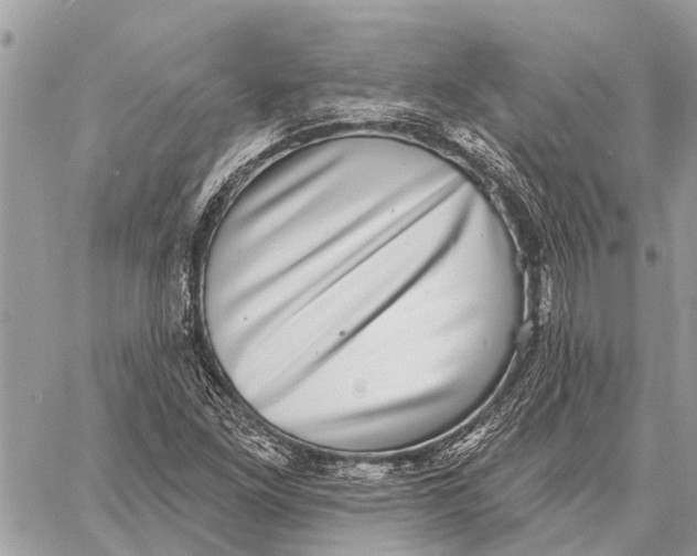 X0000058791261200510211804