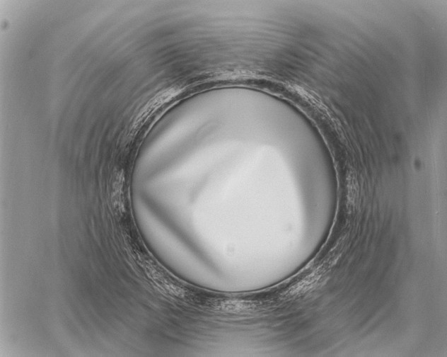 X0000058791265200510211804